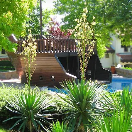 Oasis